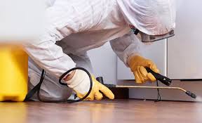 Emergency Pest Control Services in Arlington Heights, IL